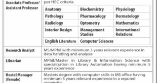 the University of Faisalabad jobs